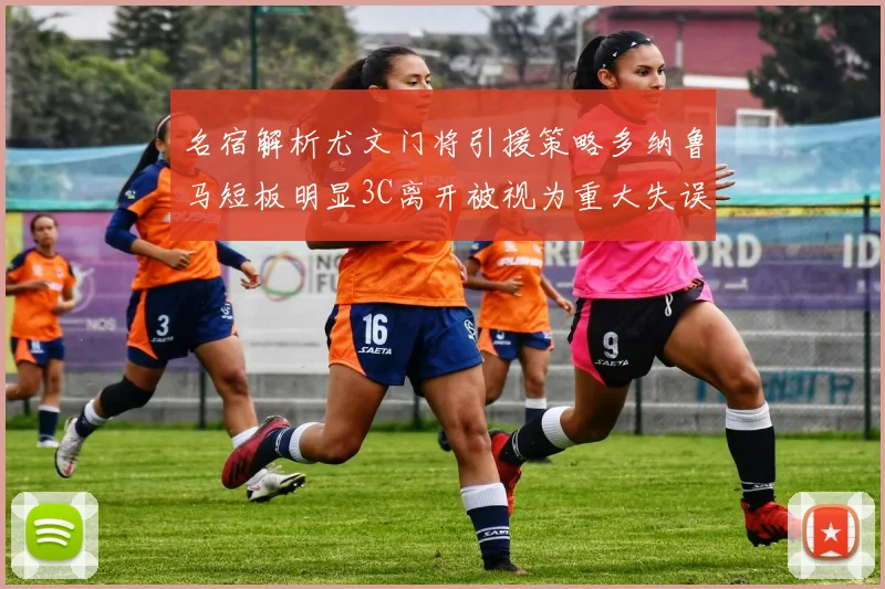 名宿解析尤文门将引援策略多纳鲁马短板明显3C离开被视为重大失误