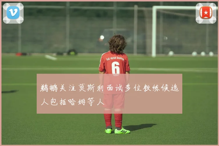 鹈鹕关注莫斯利面试多位教练候选人包括哈姆等人